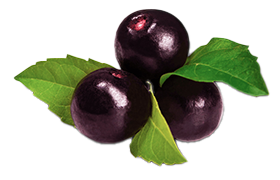 Acai Berries are a Super Fruit