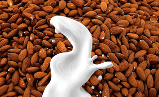 Debunked: 5 Common Myths About Plant-Based Diets for Women